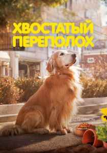 Хвостатый переполох (2024) бесплатно