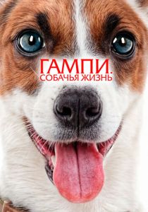 Гампи. Собачья жизнь (2025) бесплатно